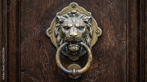 Ornate Lion Head Door Knocker on Rustic Wooden Door