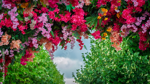 Colorful flowering vines arch over a garden pathway. Lush tropical foliage and blooming flowers. Botanical nature, spring garden and landscaping concept. Natural floral canopy with copy