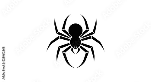 Black spider silhouette on white background, arachnid icon, creepy crawly graphic