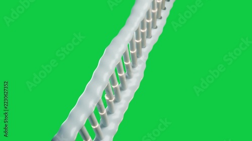 Glossy rods joining forming ladder twisting into DNA helix breaking to show DNA on transparent void