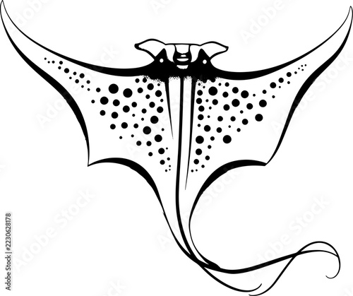 Abstract Stingray Tattoo in Black Line Style, White Background