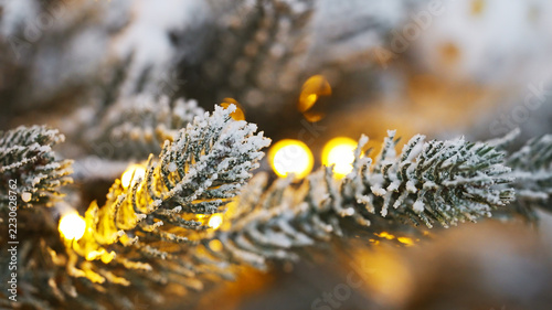 Frosted pine branch closeup with warm golden garland lights bokeh blurred background cozy winter Christmas atmosphere concept stock photo
