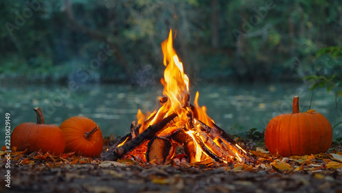 Fiery bonfire surrounded by ripe orange pumpkins on river margin under dense forest canopy autumn Halloween evening stock