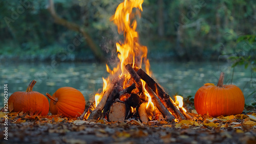 Campfire with tall fiery plume rising beside orange pumpkins on river edge in woodland dusk autumn Halloween relaxing backdrop
