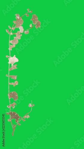 Vertical video: Beige-gold twig appearing bottom-left, extending into floral vine for clear border