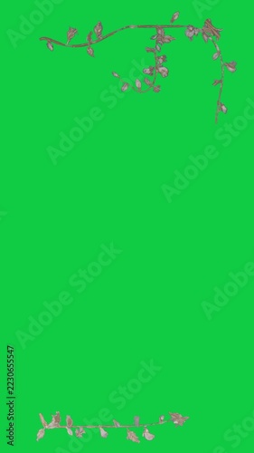 Vertical video: Frames showing twig coming, branch reaching, buds forming, staying alpha for design