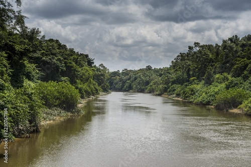 River Kourou with green vegetation, Kourou, French Guiana