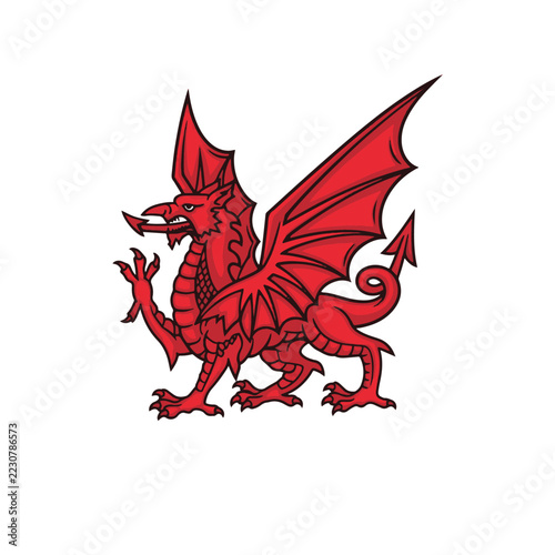 Detailed vector illustration of a powerful mythical red dragon creature.