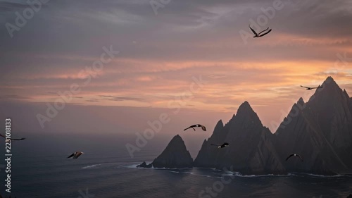 Dramatic birds flight over coastal mountains slope during sunset