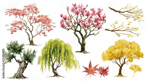 Illustration of flowering trees and leafy branches in a collection of botanical tree forms