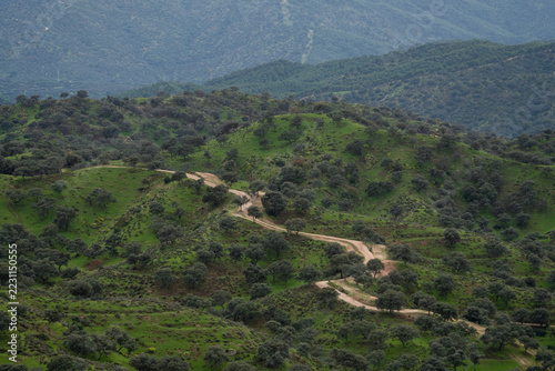 The green hills of the Andalusian region. A various country in the middle of Spain.