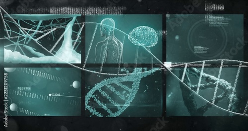 Displaying DNA double helix crossing biomedical dashboard panels, showing brain silhouette, neuron