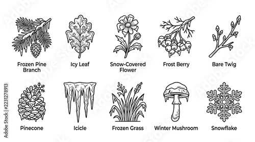 Winter botanical elements set featuring pine branches, icy leaves, berries, and snowflakes on transparent background