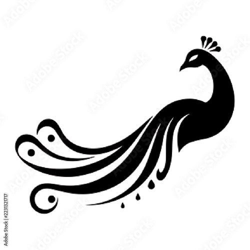 vector illustration of a bird