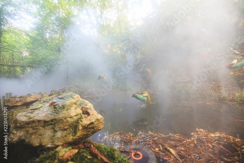 Obraz na plátně Mist and filtered daylight shape a woodland visit near Blois, offering a sensory