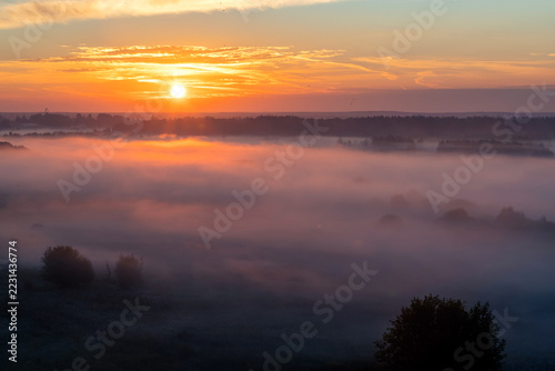 Beautiful aerial shot of a forest on a hill with beautiful mist in the distance shot at sunrise