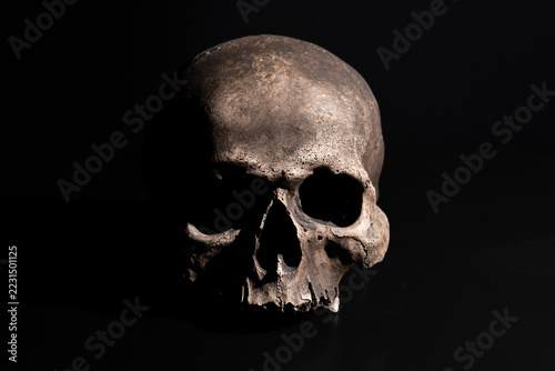 Human Skull on Black Background with Dramatic Side Lighting