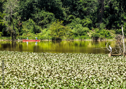 Canoeing Past Egret