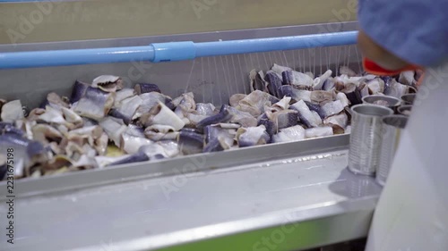 Seafood factory worker packing fish into cans along conveyor belt line