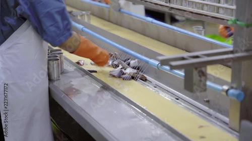 Seafood factory worker packing fish into cans along conveyor belt line