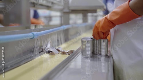 Seafood factory worker packing fish into cans along conveyor belt line