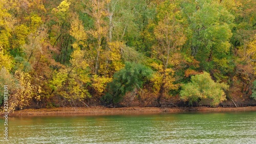 A wide panoramic landscape showing dense autumn trees with yellow and orange leaves growing along the edge of a calm river during the fall season
