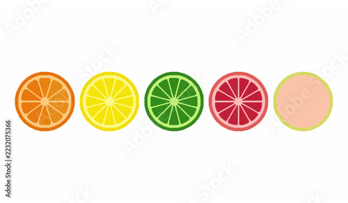 Geometric Citrus Slice Emblems Orange Lemon Lime Grapefruit Pomelo Vector Icons