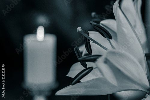 Fotografie White Lily and Burning Candle Symbolizing Resurrection, Remembrance and Eternal