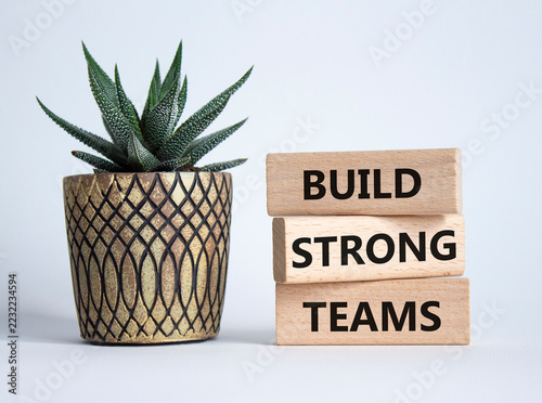 Build strong teams symbol. Concept words build strong teams on stacked wooden blocks near decorative plant. Team development and leadership concept. White background. Copy space.