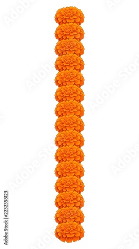 realistic festive orange marigold flower garland with identical round blooms arranged vertically on a pure white background