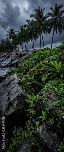 Tall palm trees stand over dark wet rocks under a stormy gray sky