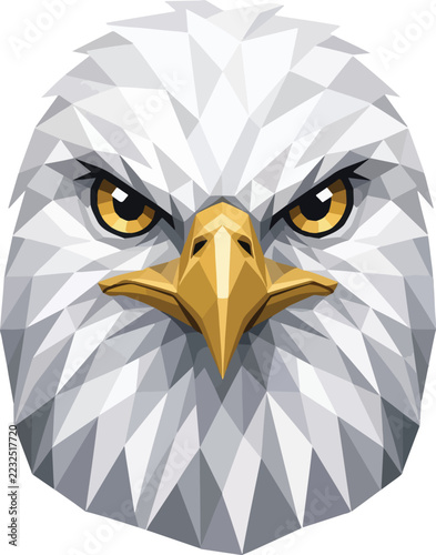 Kawaii Eagle Head Vector Illustration with Sharp Eyes and Detailed Feathers