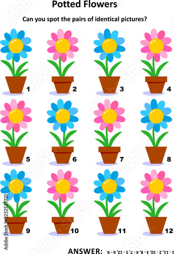 Visual puzzle with potted flowers: Can you spot the pairs of identical pictures? Answer included.
