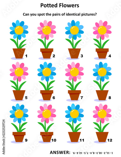 Visual puzzle with potted flowers: Can you spot the pairs of identical pictures? Answer included.
