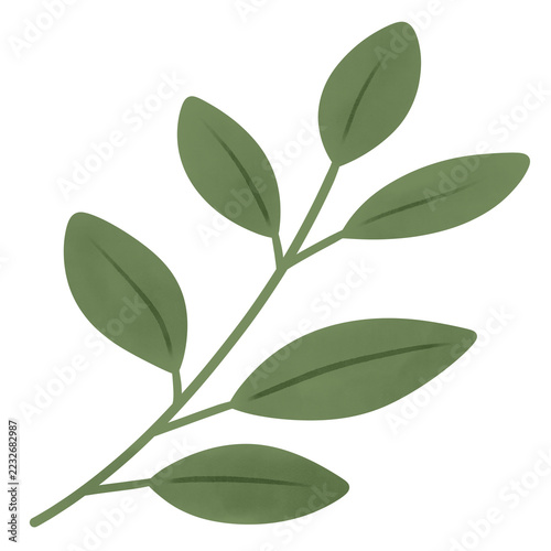 Cozy minimalist olive branch