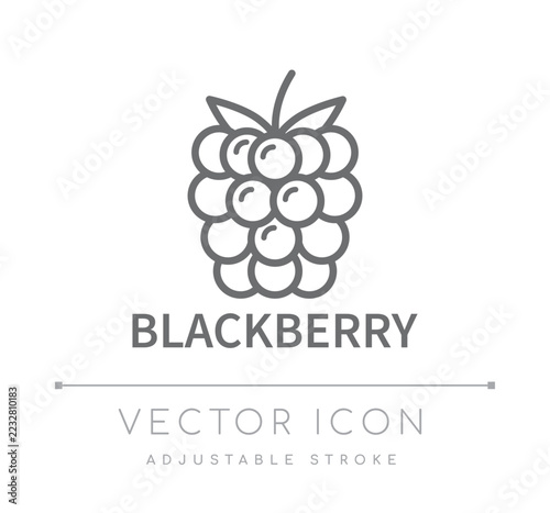 Blackberry Line Icon