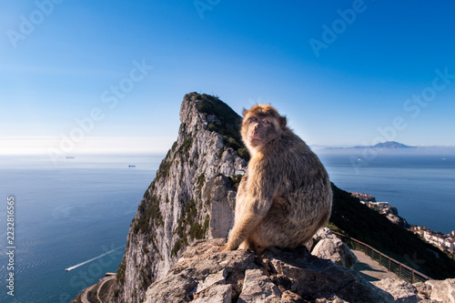 A monkey on the Rock of Gibraltar with the rock at the background.