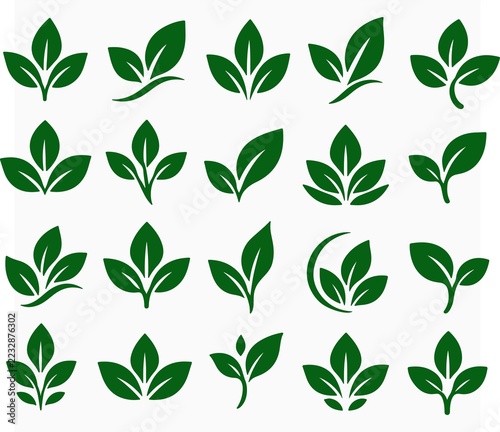 Leaf Shapes Elements Set – Botanical Foliage and Nature Vector Collection