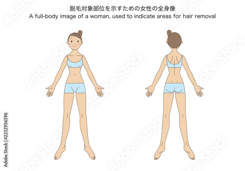 脱毛対象部位を示すための女性の全身像