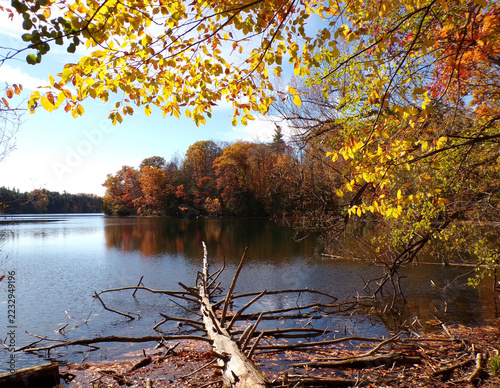Fall landscape with colorful trees and lake