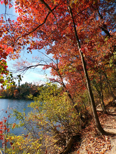 Fall landscape with colorful trees and lake