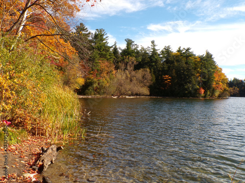 Fall landscape with colorful trees and lake