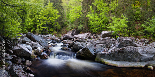 Long exposure of a rapid river flowing through mossy rocks in a lush green forest landscape. Beautiful motion blur