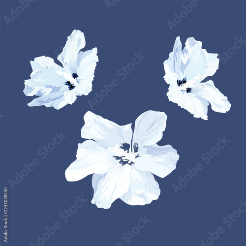 Summer floral collection with hibiscus. Jungle fashion print. Hawaiian background. Vector illustration