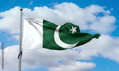Fotografie Pakistan flag - realistic waving fabric flag