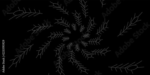 Minimalist Black Vector Background with Delicate White Organic Branch or Web Spiral Fractal Art Design