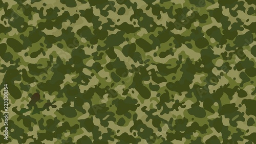 Fotografie Abstract Military Camouflage Pattern Background in Green and Brown with Rugged A