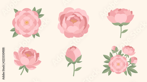 Pink peony flower illustrations and botanical bud set in pixel art style