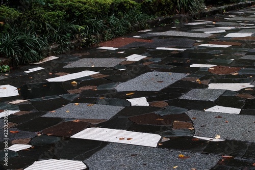 Obraz na plátně Moody wet paving stones with green bushes and fallen leaves after rain