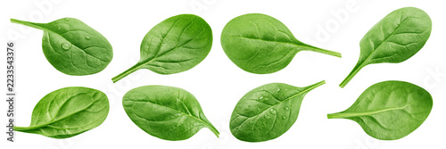 Spinach isolated, full depth of field